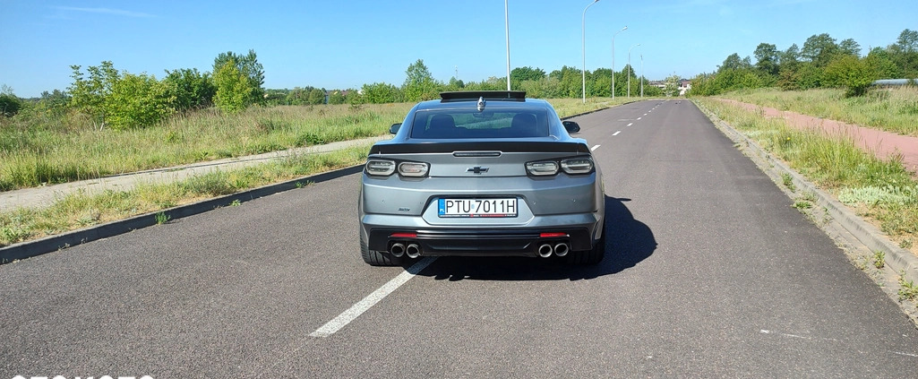 Chevrolet Camaro cena 185000 przebieg: 22700, rok produkcji 2021 z Turek małe 56